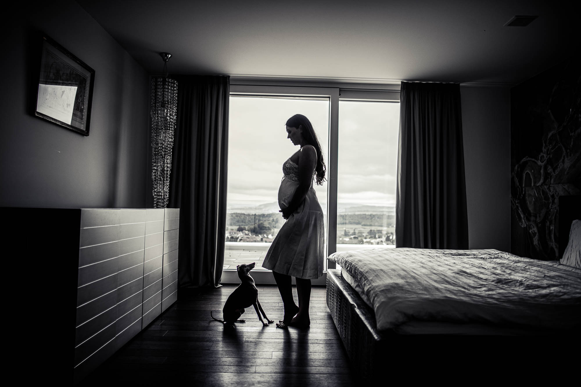 Export x3 1DX26151 Fotoshooting 2020 Zito 2